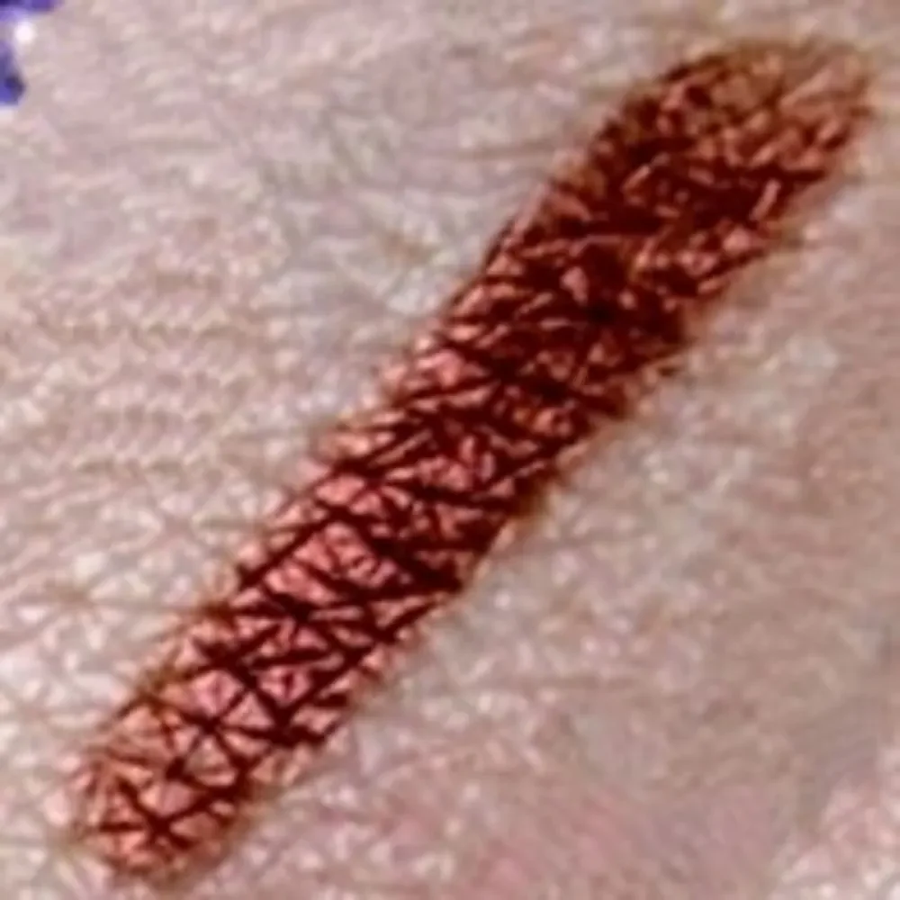 TOO FACED Foiled Metallic Eye Liner - Ruby Slippers
